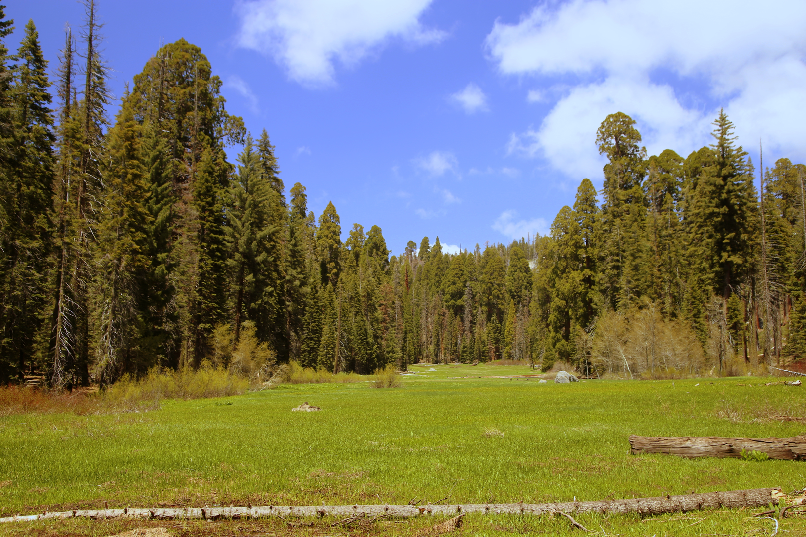 An image depicting the trail Mehrten Creek via Long Meadow Trail and High Sierra Trail and its surrounding area.