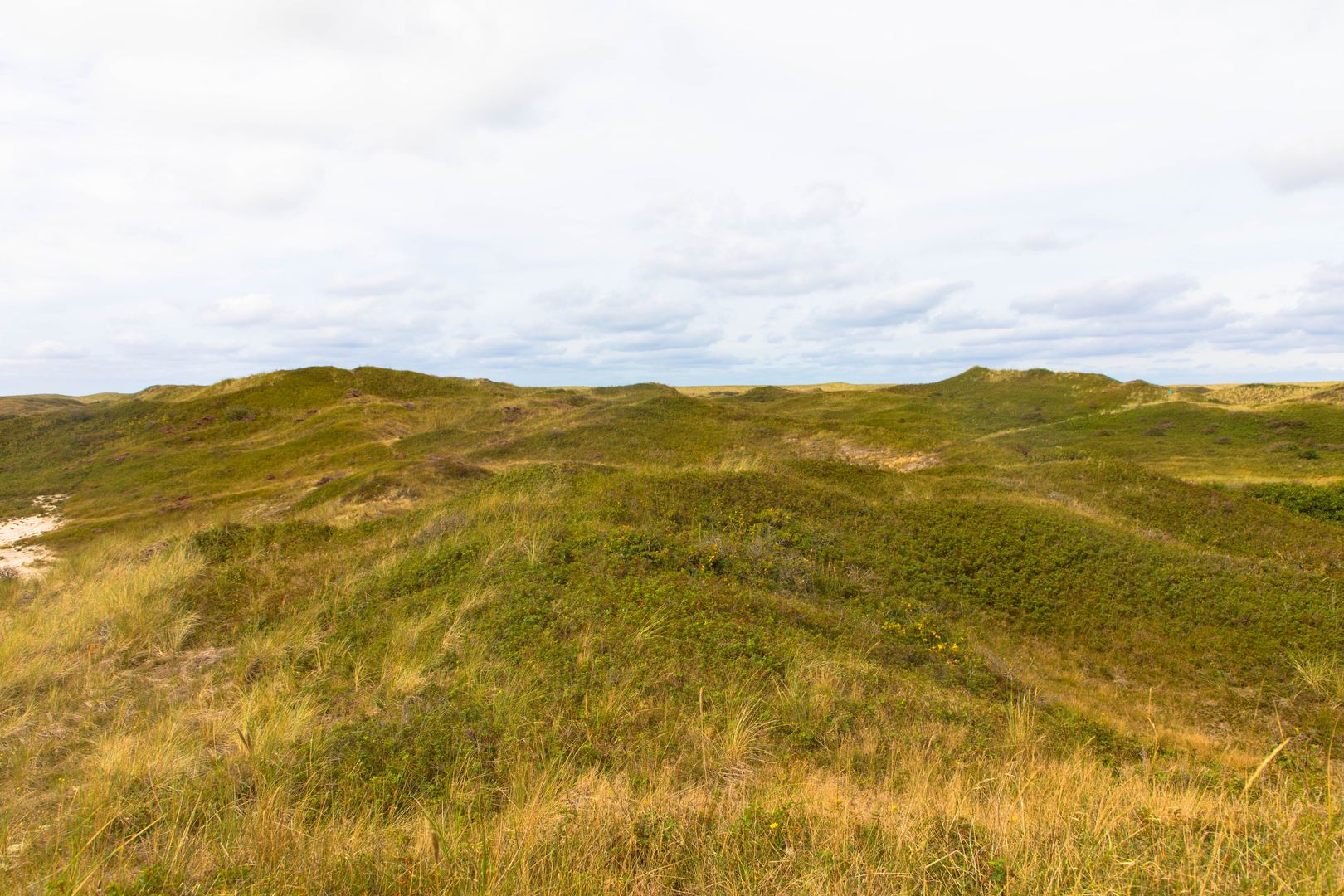An image depicting the trail Veerhaven to Badweg via De Dennen and Duinpark and its surrounding area.