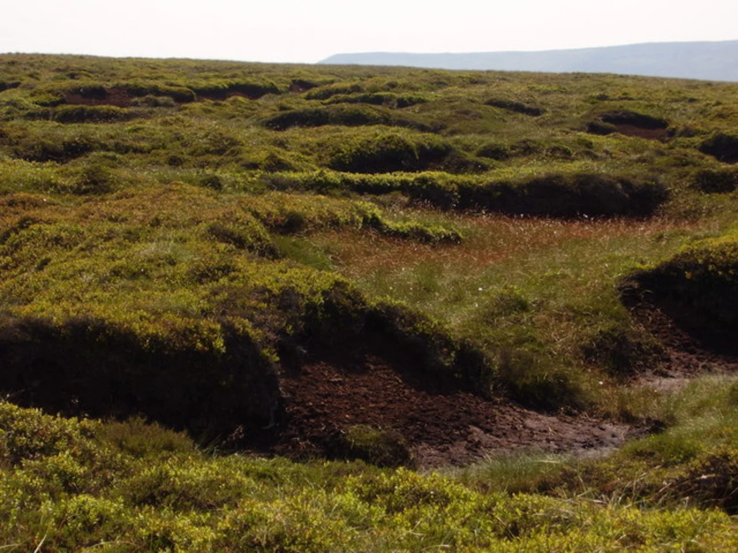 An image depicting the trail Alport Moor and Bleaklow Stones Loop and its surrounding area.