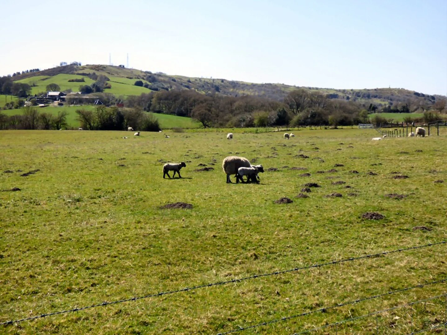 An image depicting the trail Werneth Low Circular Path and its surrounding area.