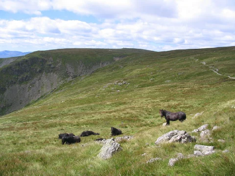 An image depicting the trail Kidsty Pike,High Raise, Rampsgill Head, The knott and Mardale Ill Bell Loop and its surrounding area.