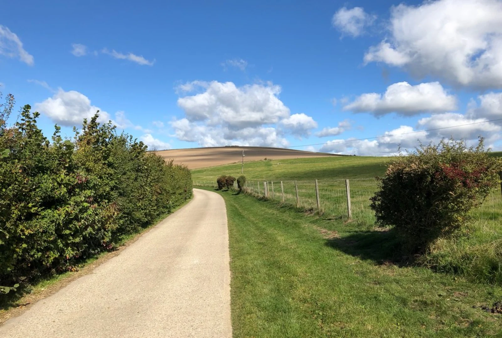 An image depicting the trail Harrow Hill Loop Walk and its surrounding area.