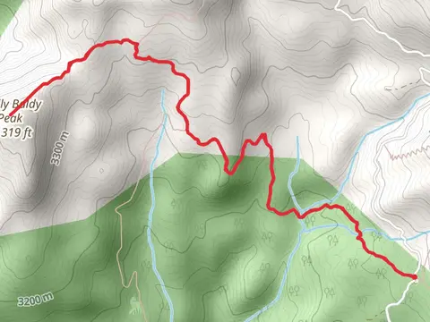 Shelly Baldy Peak via Blue Lake Trail