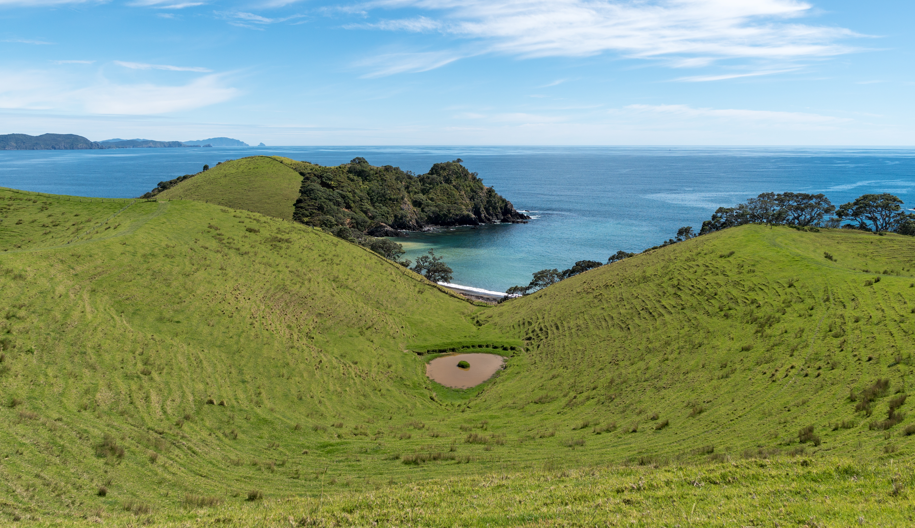 An image depicting the trail Tohumoana Lookout Track and its surrounding area.