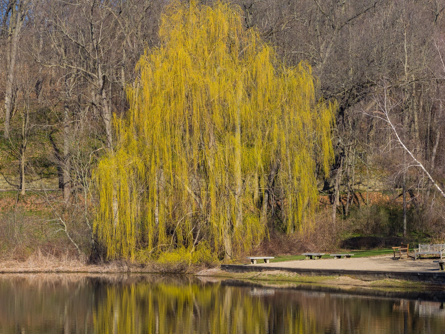 An image depicting the trail Hidden Lake Loop Trail and its surrounding area.