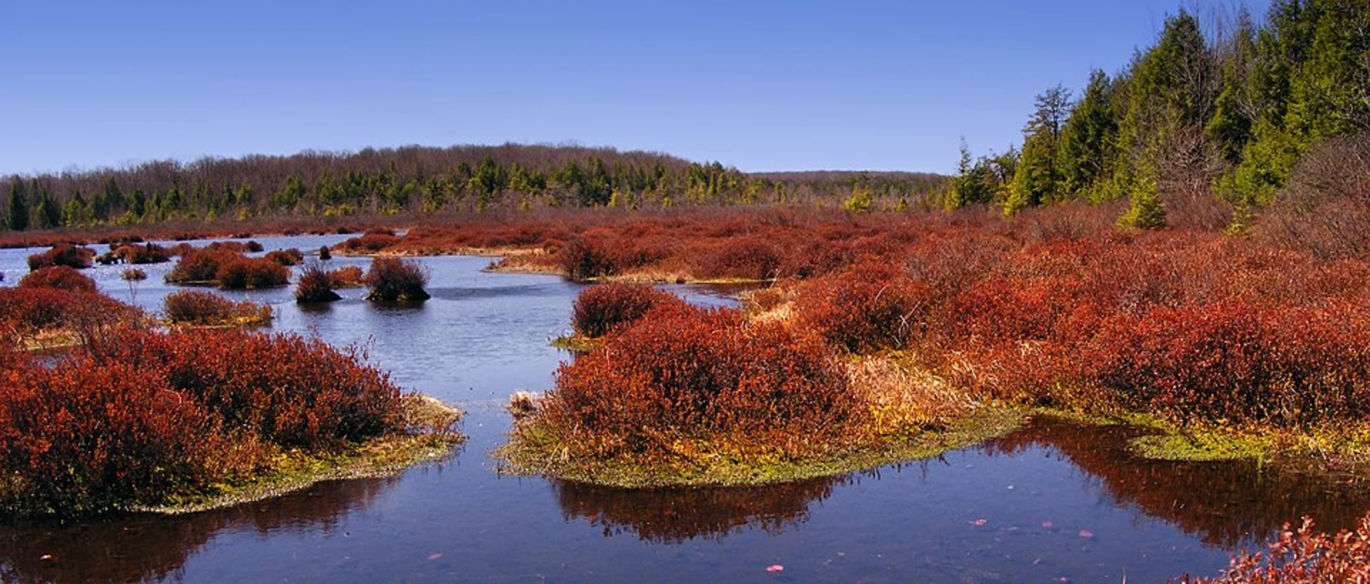 An image depicting the trail Star Mill Loop Trail and its surrounding area.
