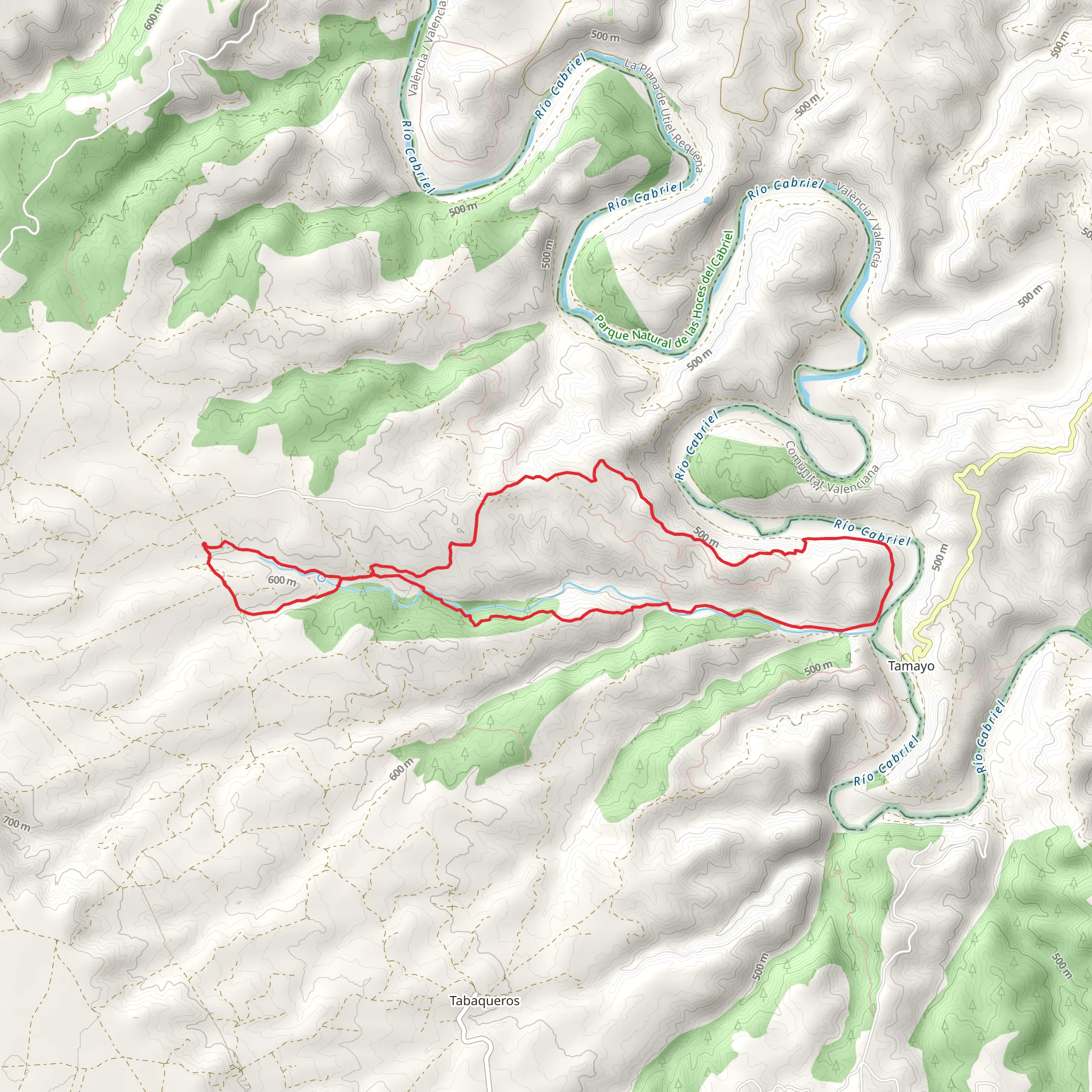 Turtle Tollo - Tamayo mobile static map