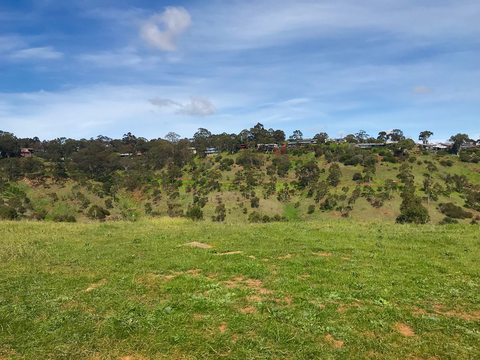 Beaumont Circuit Track