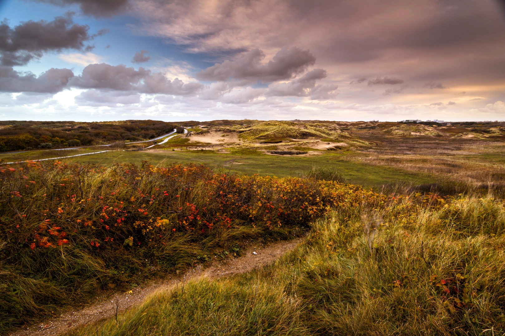 An image depicting the trail Teylingerlaan, S - Gravendamseweg, Van Panhuysstraat and Boekenroodeweg Loop and its surrounding area.