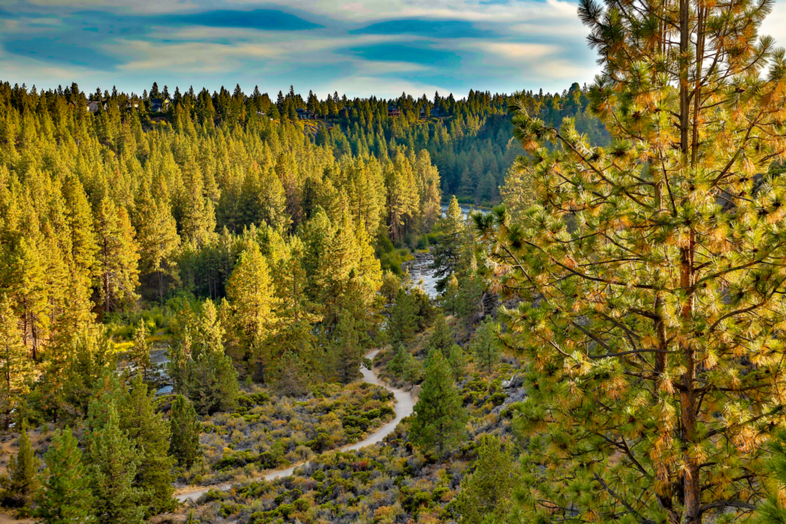 An image depicting the trail Deschutes River Horse Loop Trail and its surrounding area.