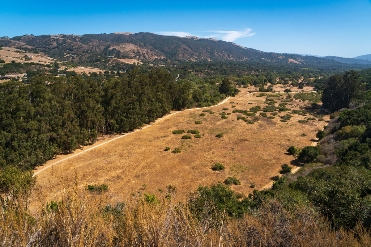 Mesa Pond, Garzas Canyon and Sky Loop Trail