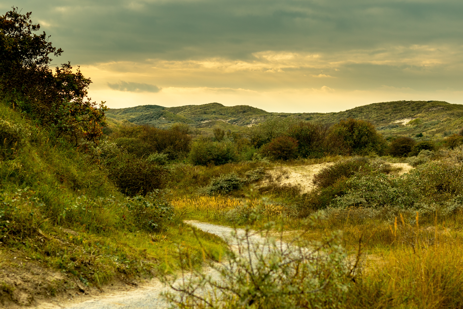 An image depicting the trail Prinsenberg, Oostduinen and Vlietland Loop and its surrounding area.