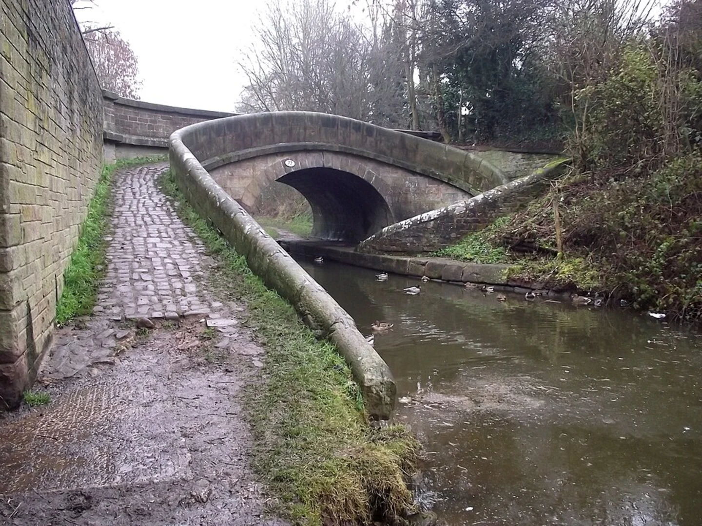 An image depicting the trail Bridge 77, Macclesfield Canal Loop and its surrounding area.