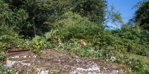 An image depicting the trail RAF Holmsley South near Bransgore and its surrounding area.