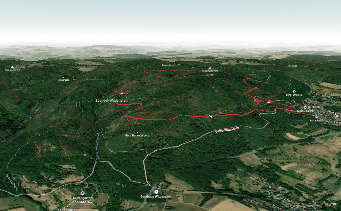 Adlerbogen, Ludwinsturm and Ruine Wildenstein Loop via Pfalzer Hohenweg