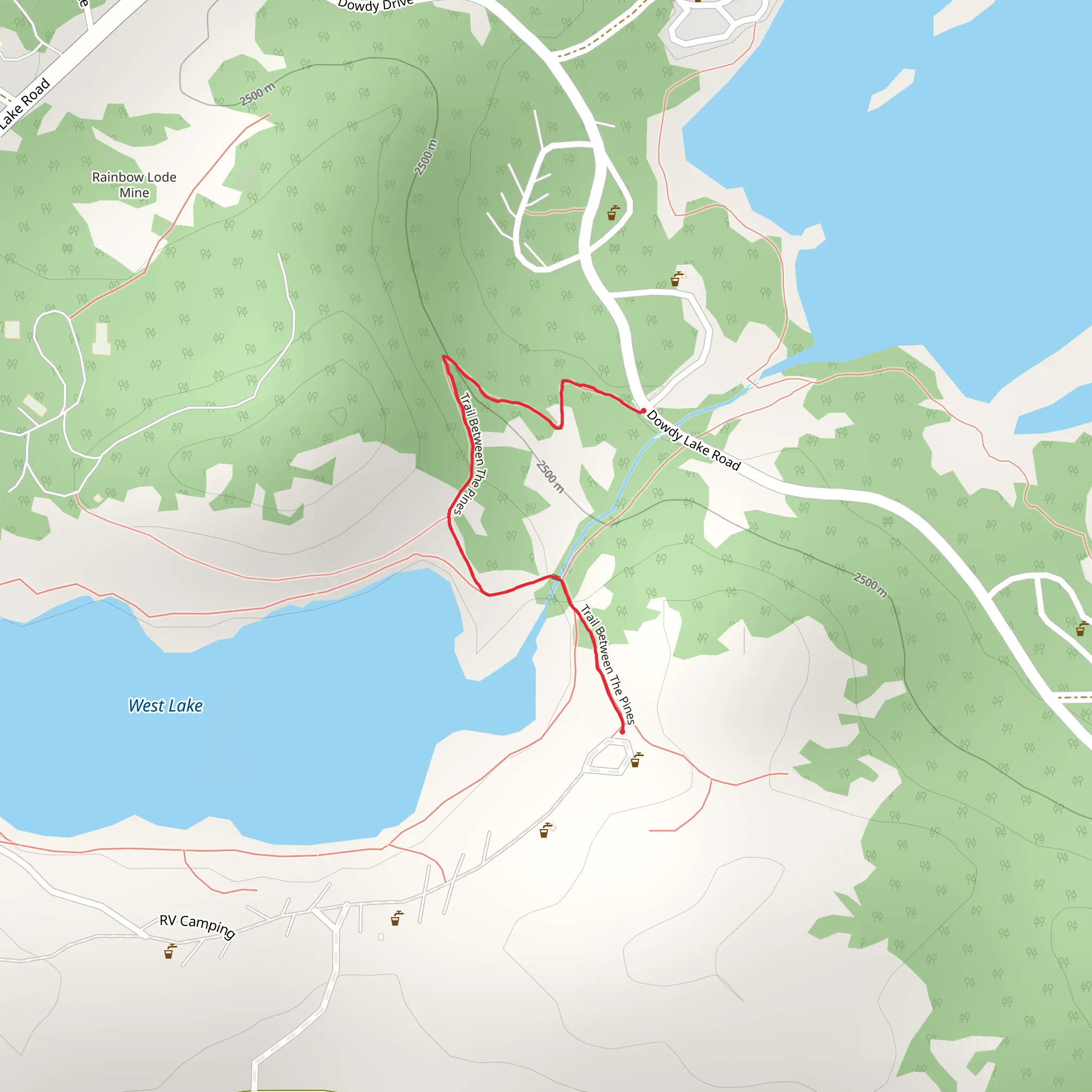 Trail Between The Pines Trail mobile static map