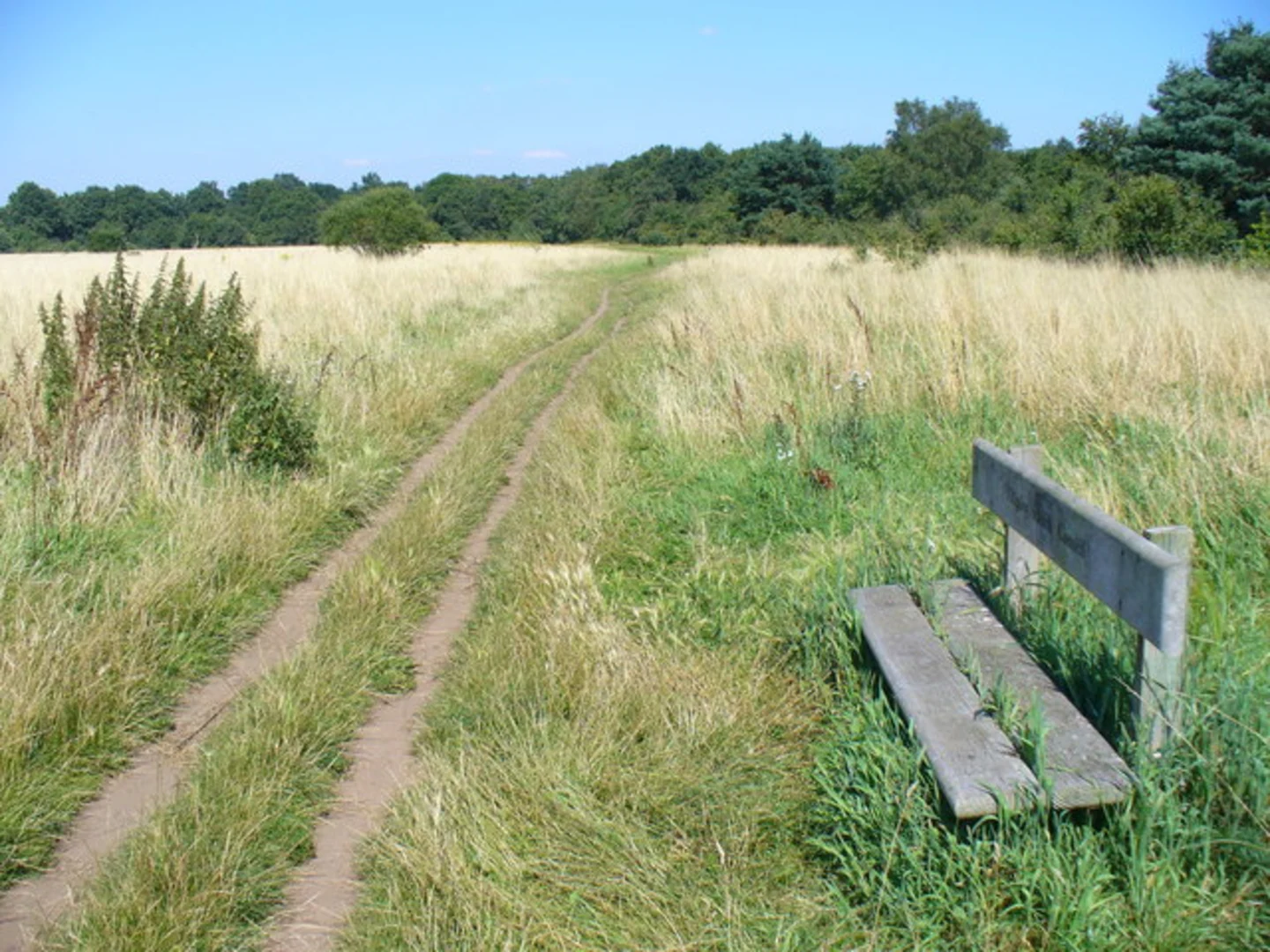 An image depicting the trail Ripley Green via Fox Way and its surrounding area.