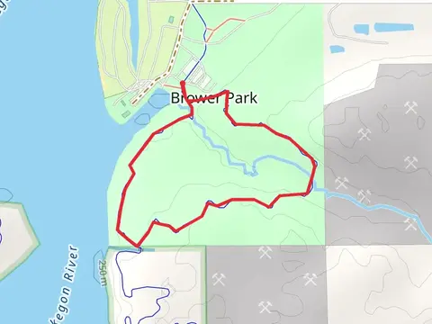 The Brower Loop