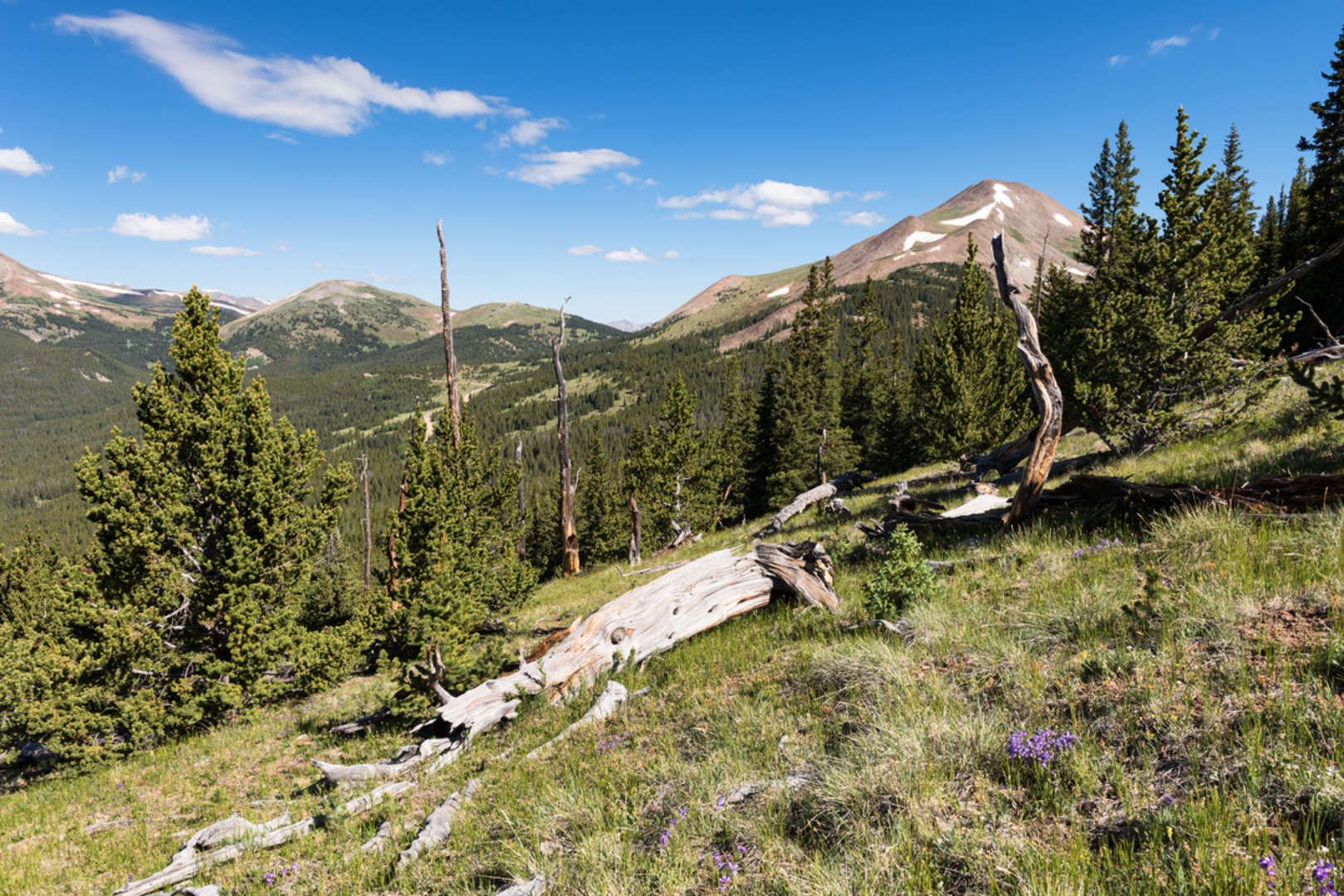An image depicting the trail Black Powder Pass Trail and its surrounding area.