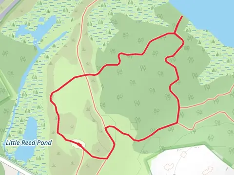 Loop around Reed Ponds