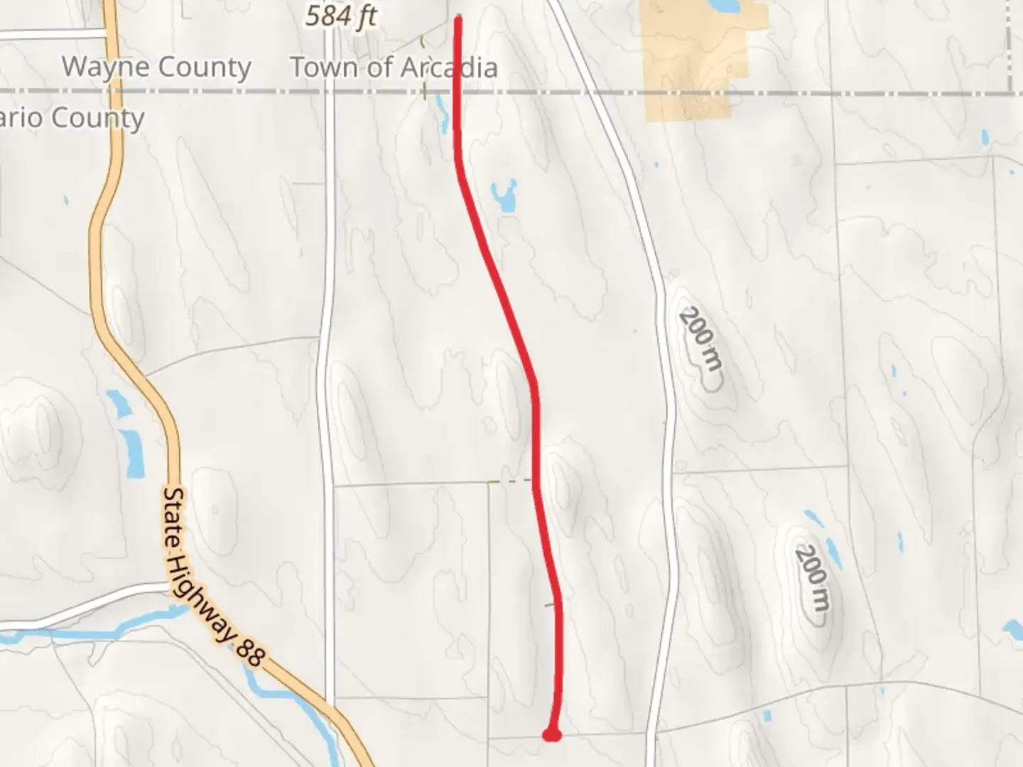 An image depicting the trail Gifford Road and its surrounding area.