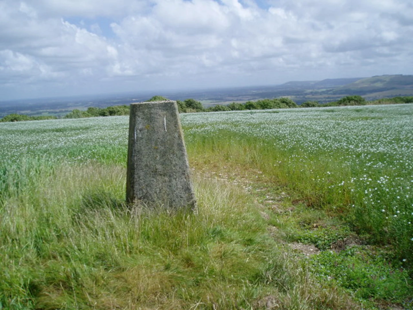 An image depicting the trail Steyning Round Hill and No Man's Land from Steyning and its surrounding area.