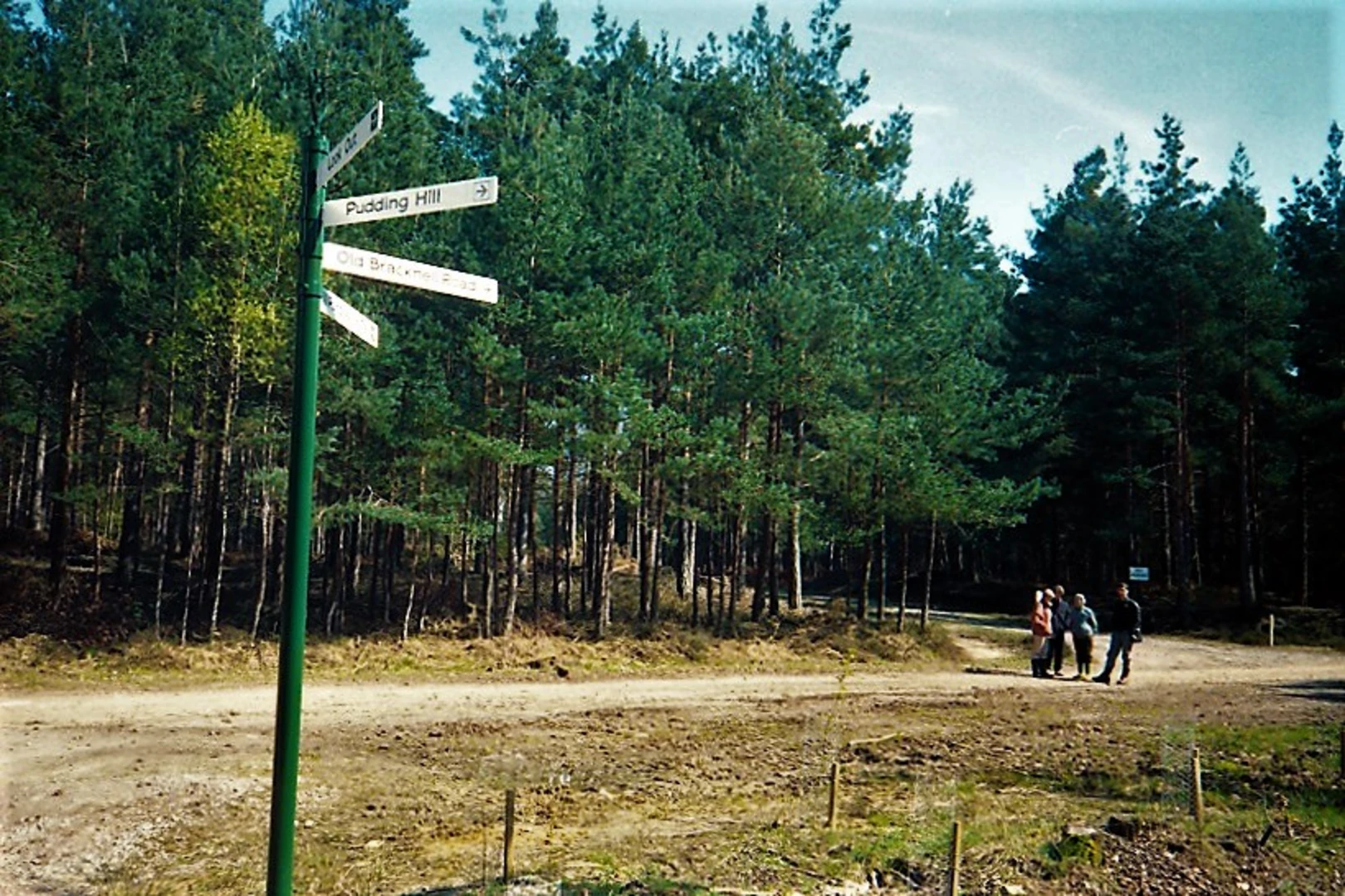 An image depicting the trail Savernake Park Loop and its surrounding area.
