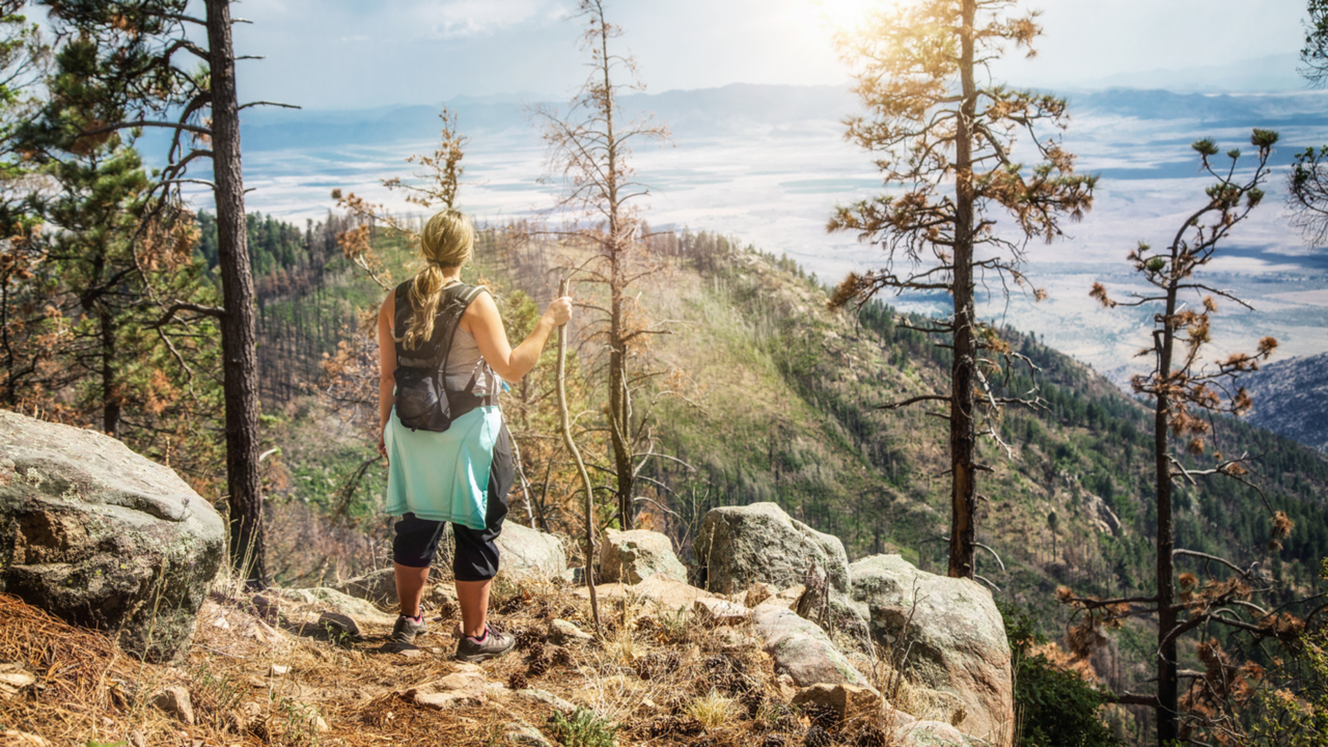 An image depicting the trail Clark Peak and West Peak via Clark Peak Trail and its surrounding area.