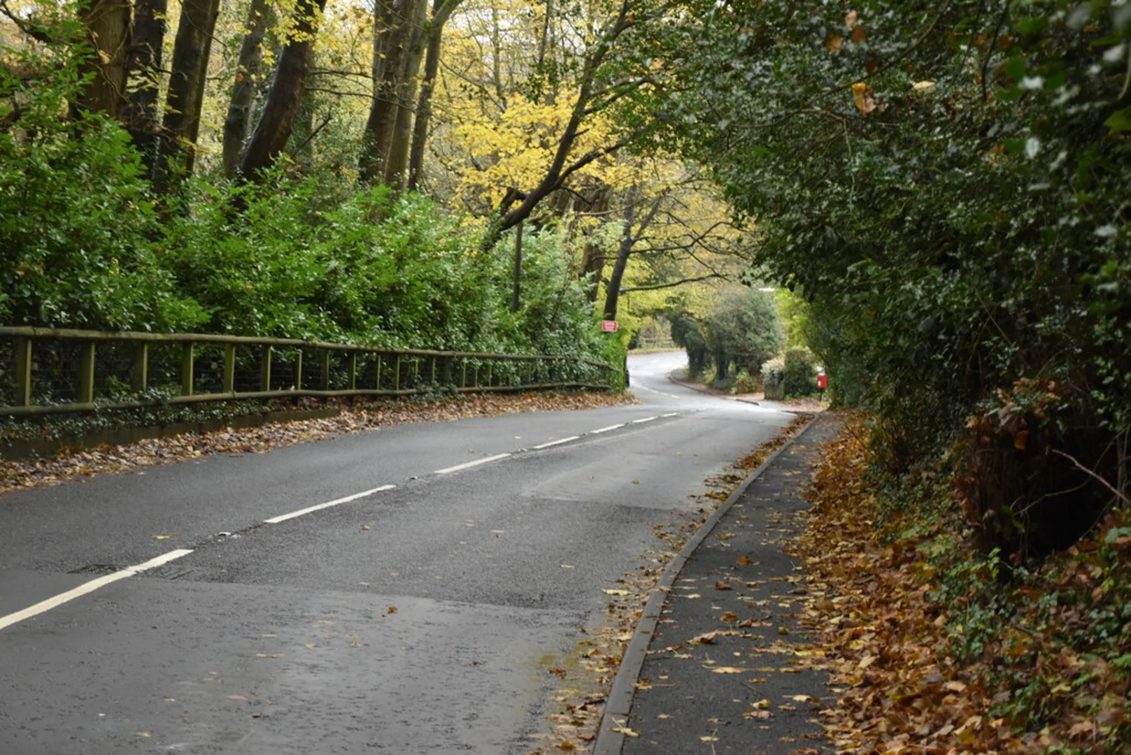 An image depicting the trail Hosey Common Short Loop and its surrounding area.