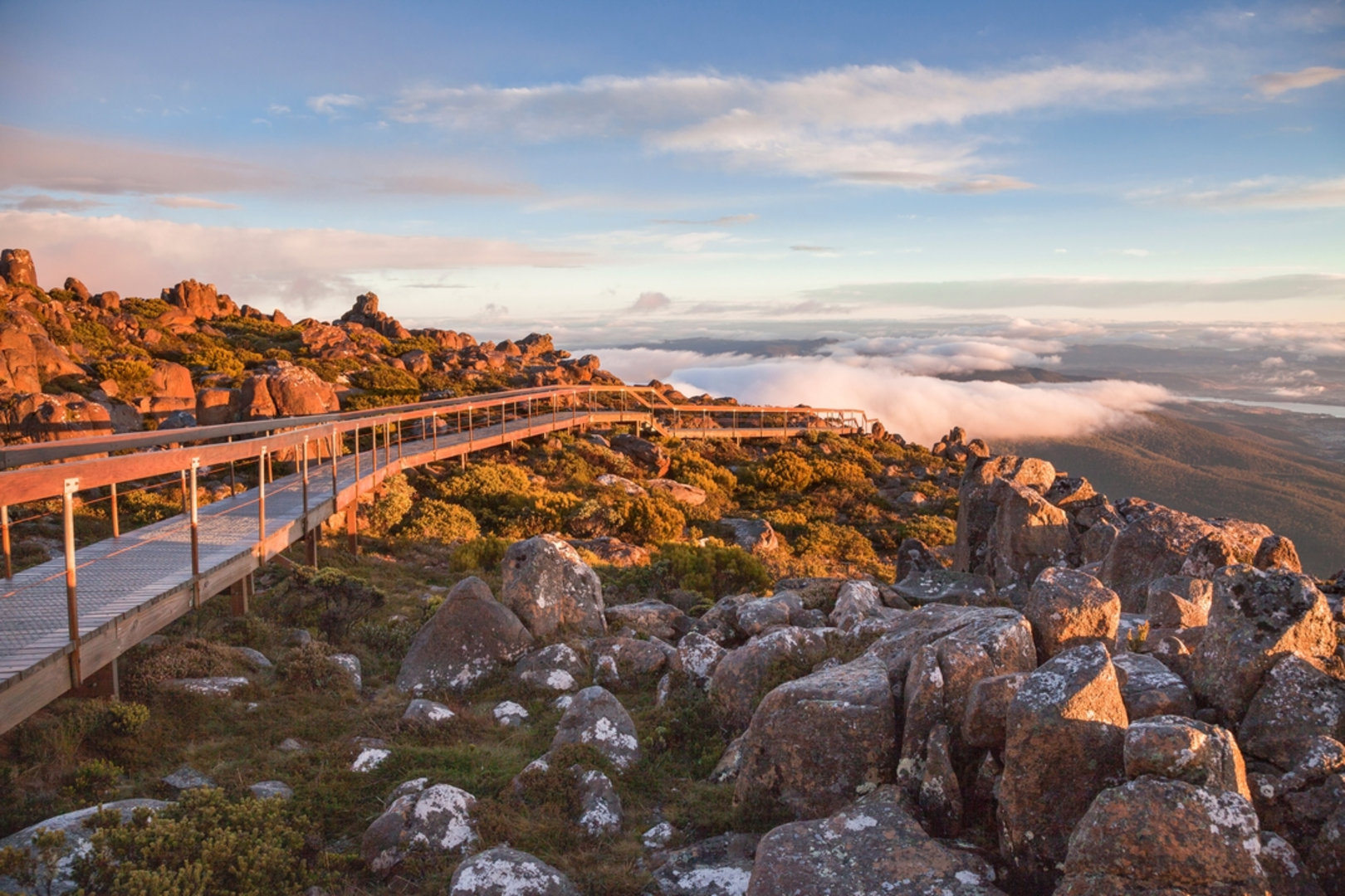 An image depicting the trail The Springs to the Pinnacle Track and its surrounding area.
