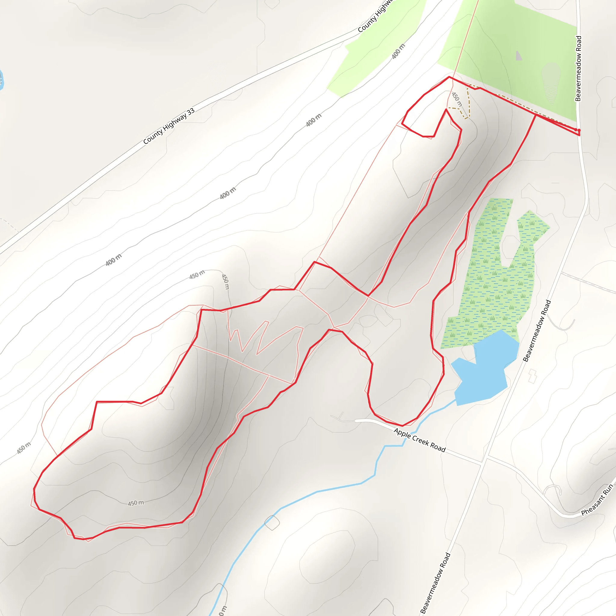 Observation Tower - Beavermeadow Road mobile static map