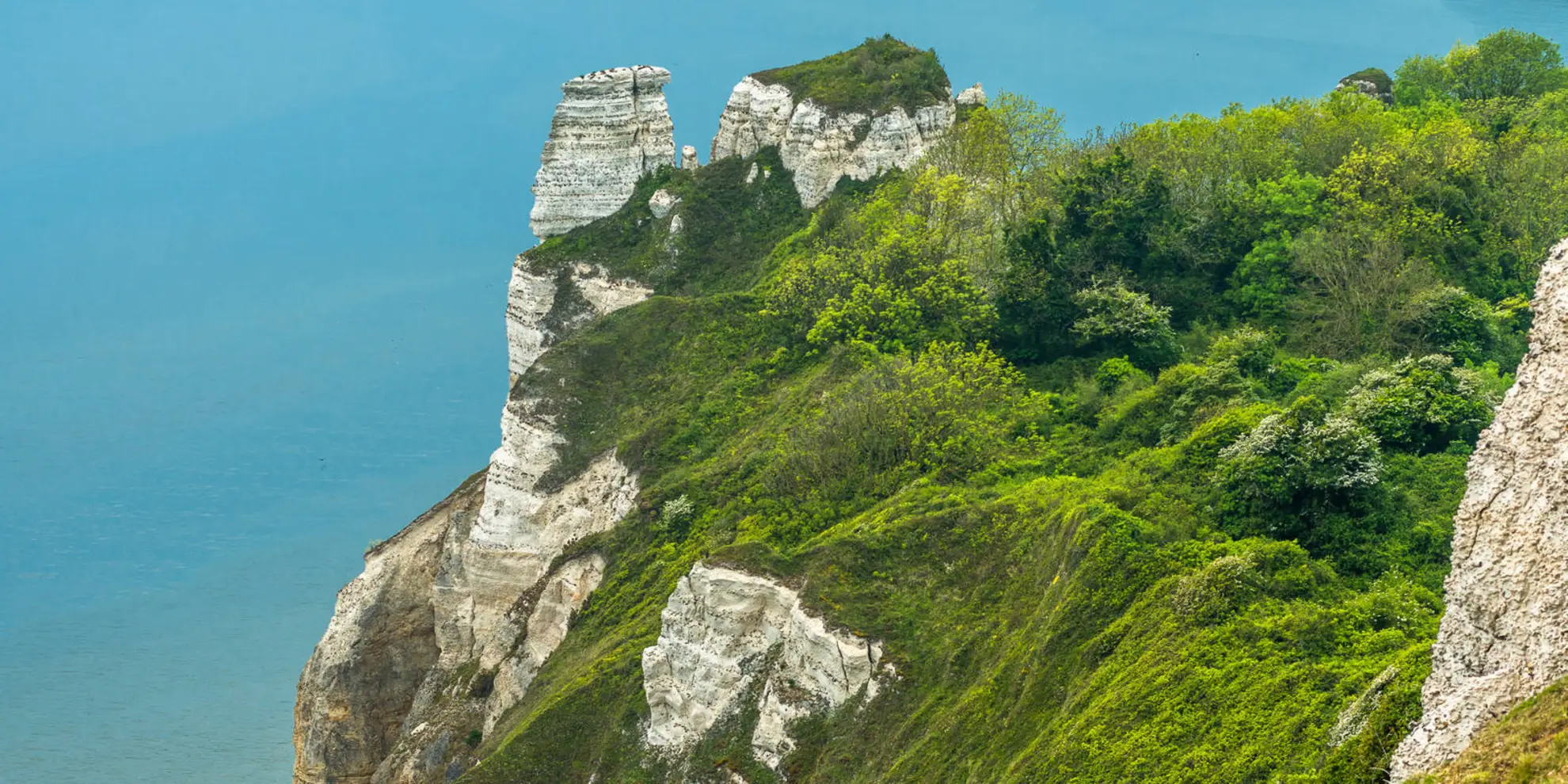 An image depicting the trail Branscombe Walk and its surrounding area.