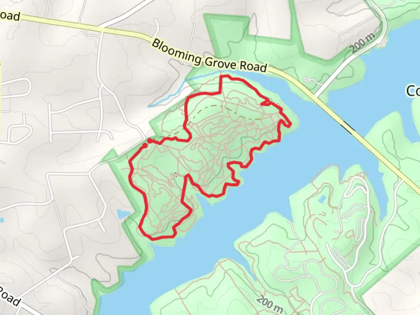 An image depicting the trail Wildasin Chapel Loop and its surrounding area.