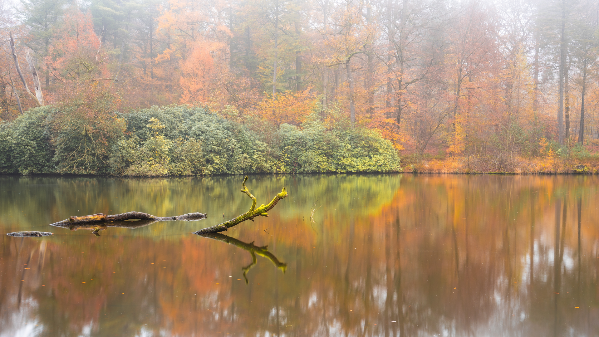 An image depicting the trail Dieren to Velp via Carolinaberg, Kraaijenberg and Vijver Beekhuizen and its surrounding area.
