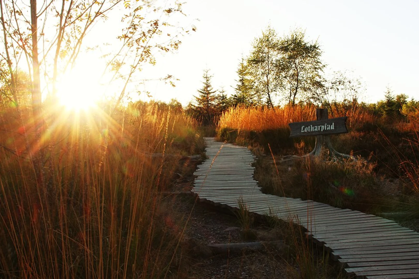 An image depicting the trail Lotharpfad Loop and its surrounding area.