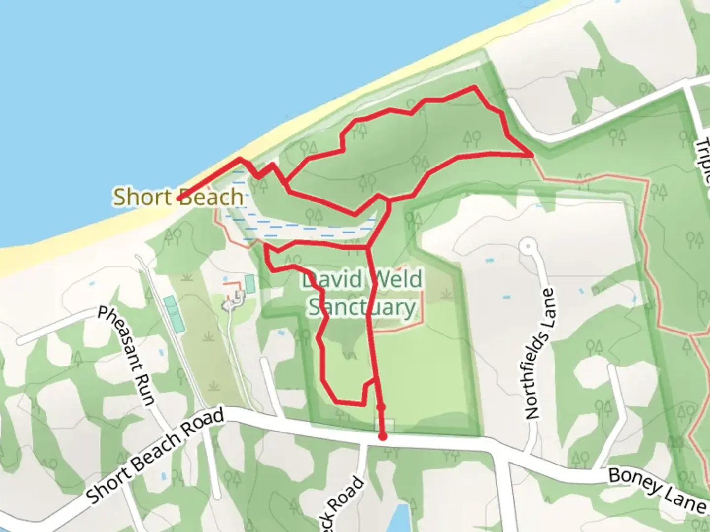 An image depicting the trail Short Beach Loop and its surrounding area.