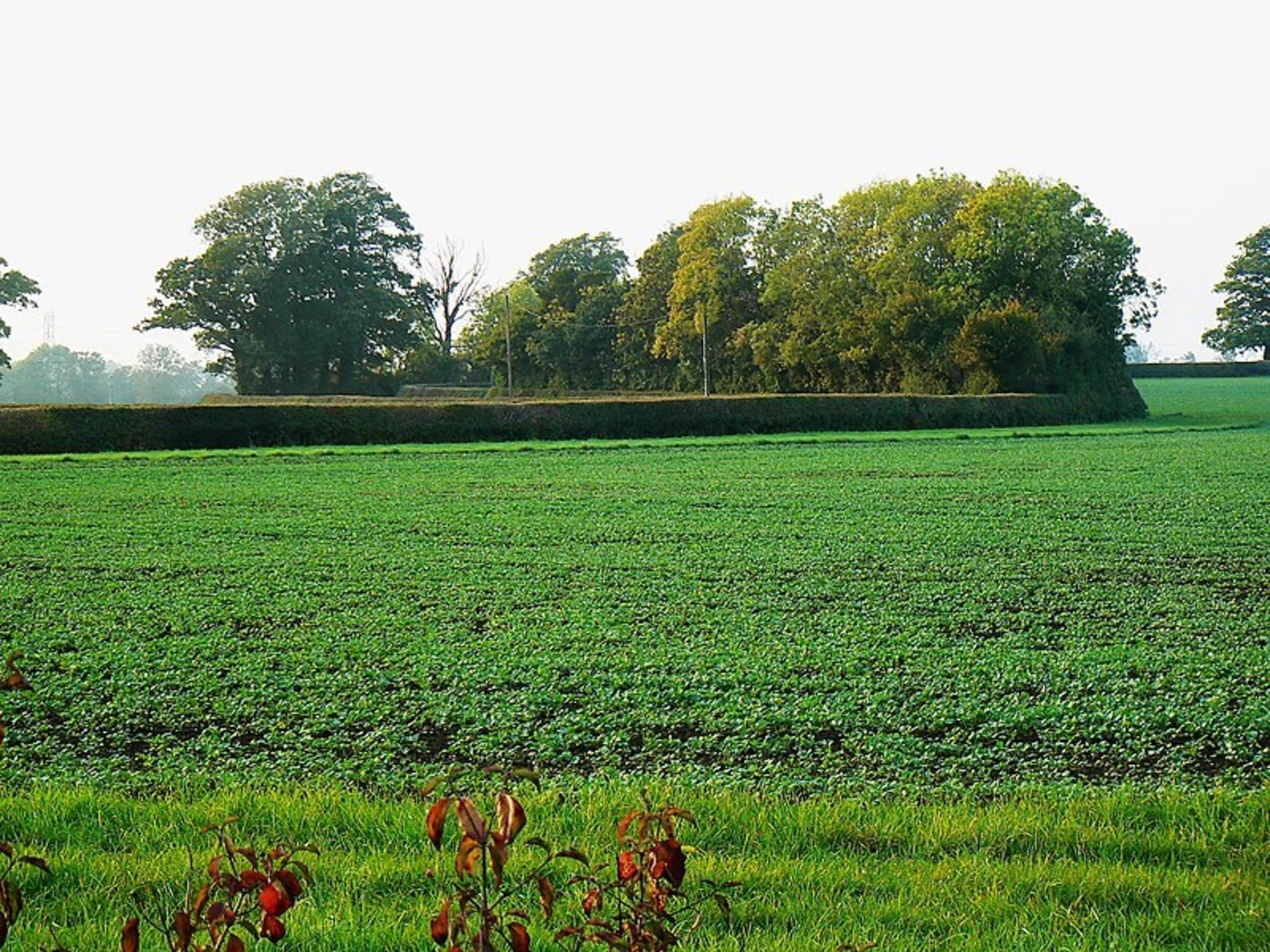 An image depicting the trail Rivers Thames, Brooks and Lakes and its surrounding area.