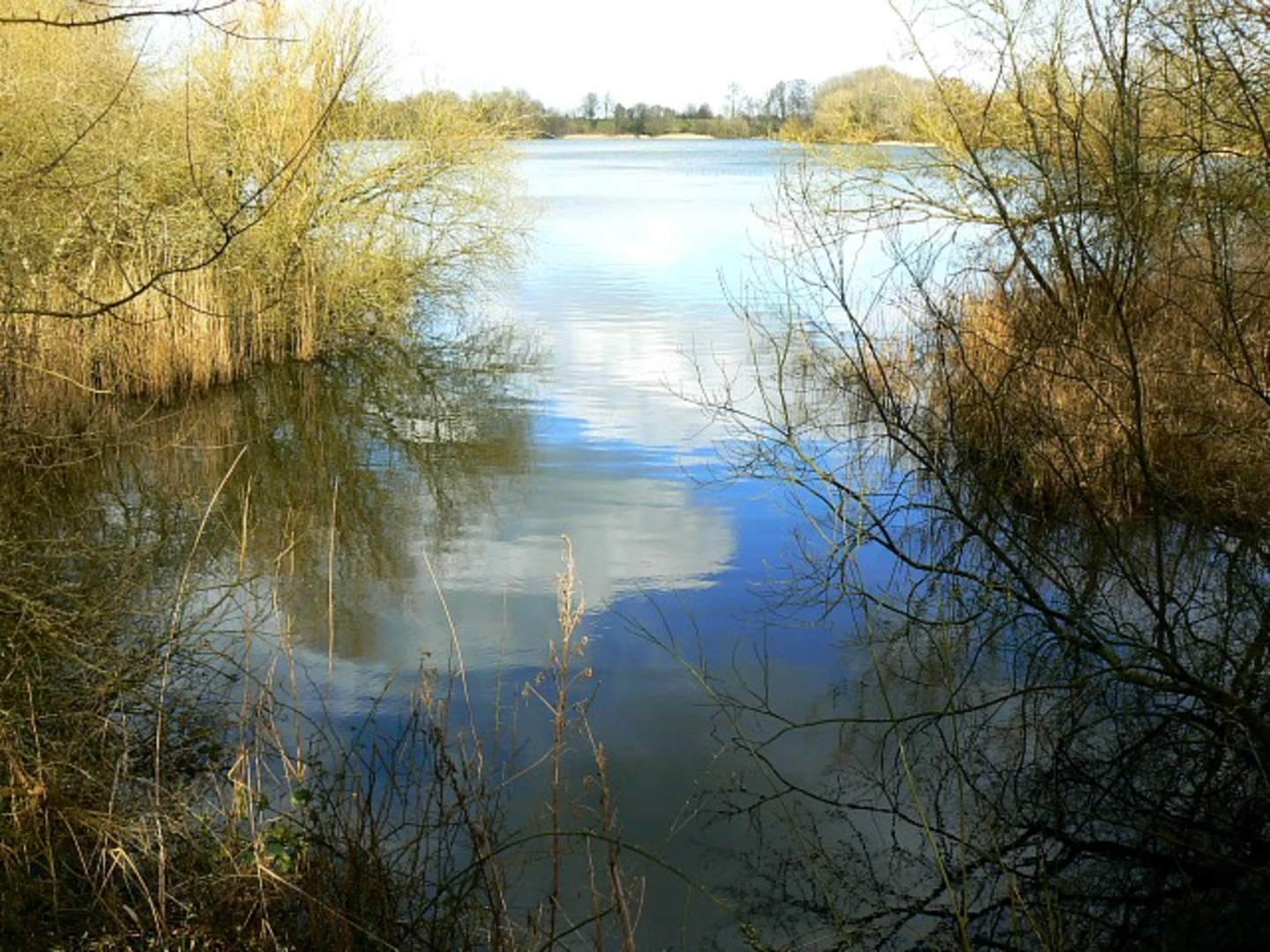 An image depicting the trail Coate Water Loop and its surrounding area.