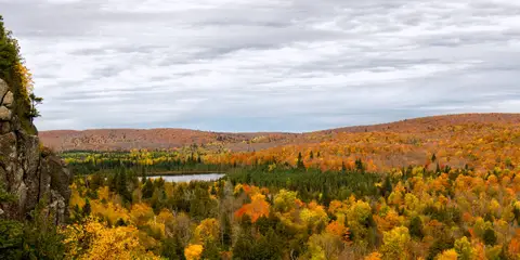 An image depicting the trail North Country Trail - Michigan Northeast and its surrounding area.