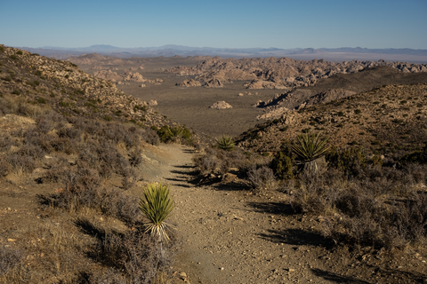 An image depicting the trail Lost Horse Loop Trail and its surrounding area.