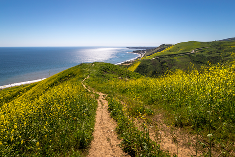 An image depicting the trail Corral Canyon Trail and its surrounding area.