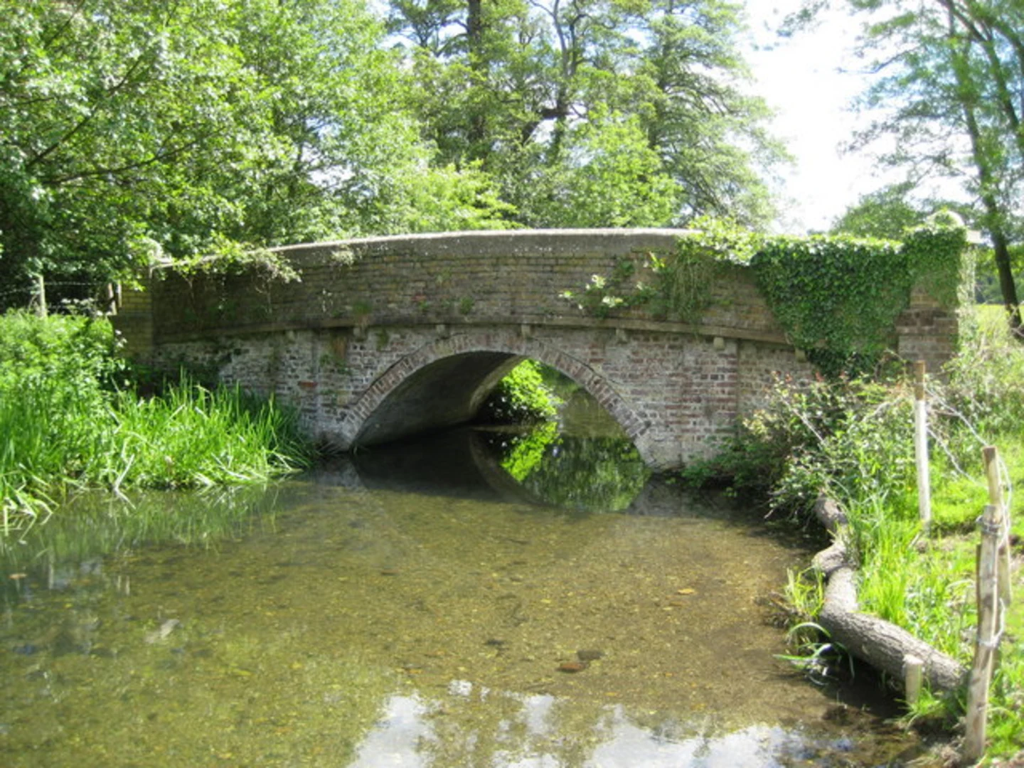 An image depicting the trail Tewin Village Loop and its surrounding area.
