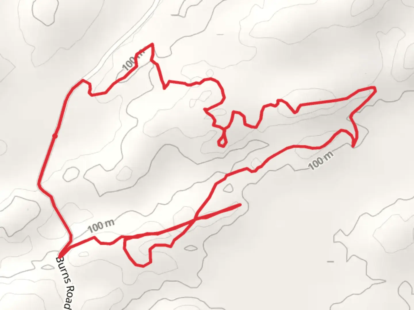 An image depicting the trail Grass Lake Loop - Burns Road and its surrounding area.