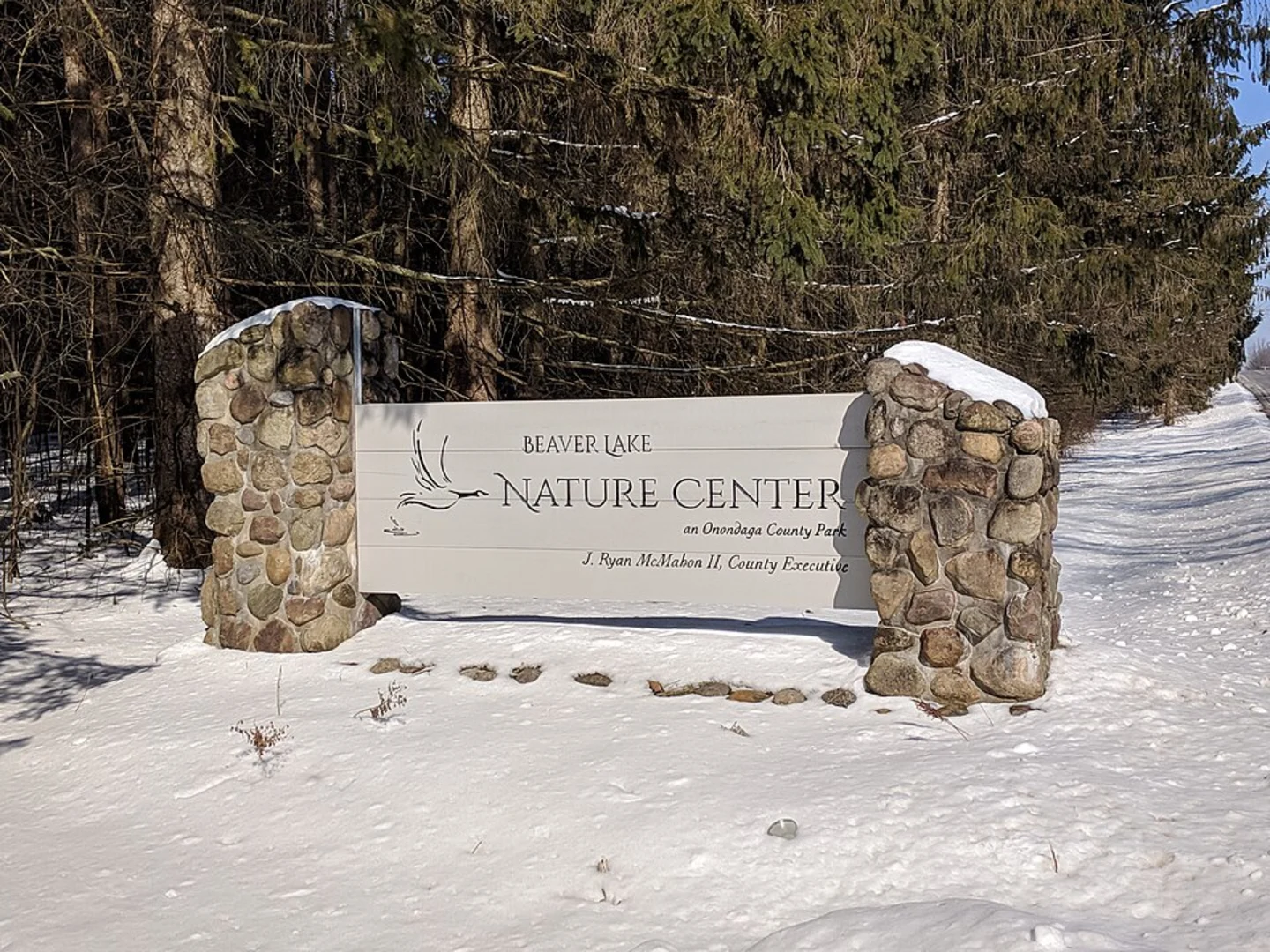 An image depicting the trail Mud Lake Loop via East Mud Lake Road and its surrounding area.