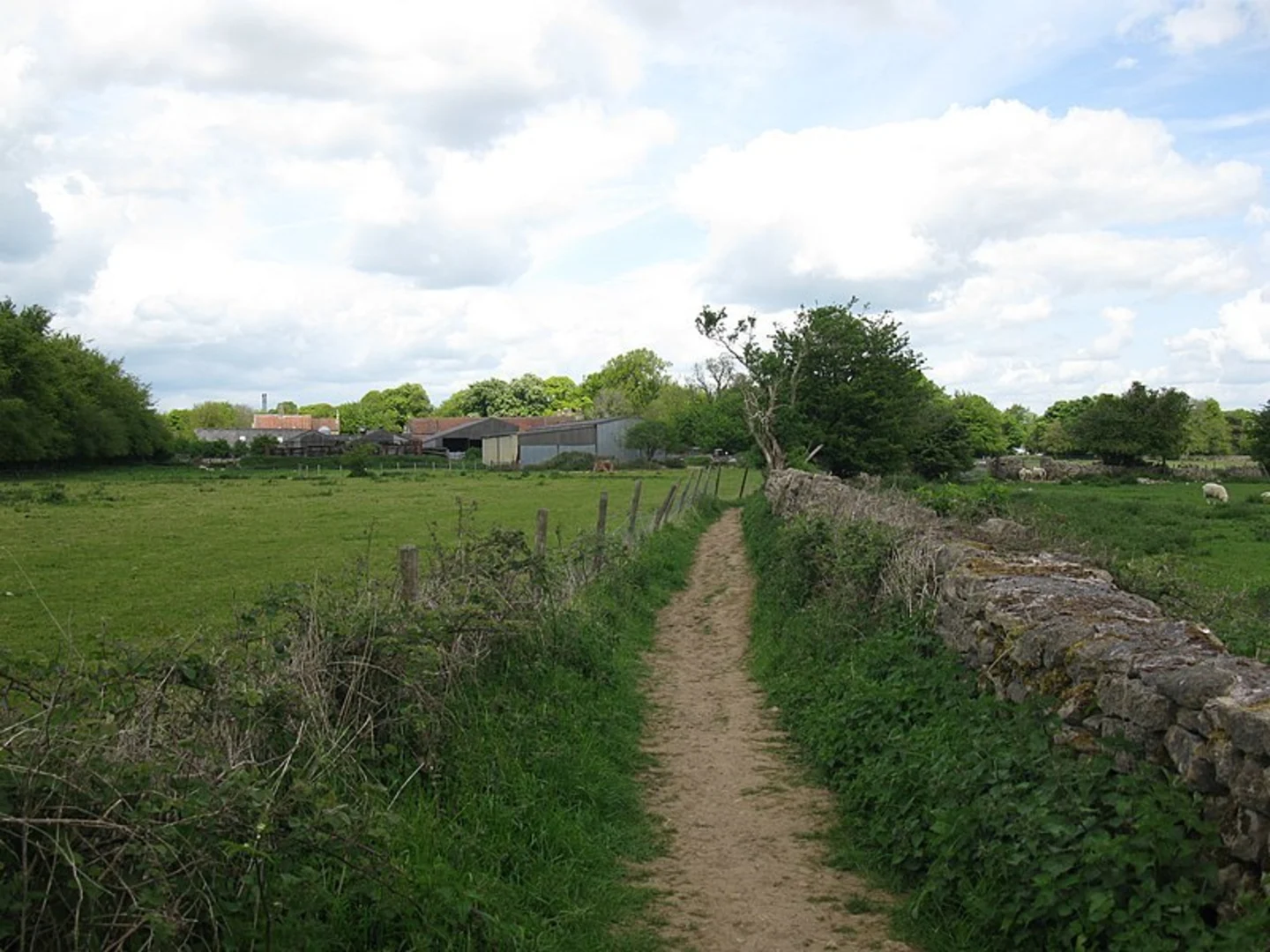 An image depicting the trail Smallcombe Loop via Bath Skyline and its surrounding area.
