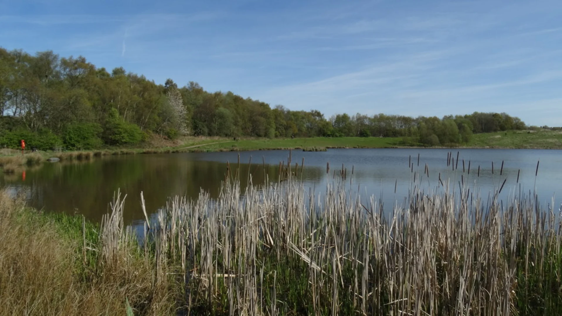 An image depicting the trail Bates Wood Pool Loop and its surrounding area.