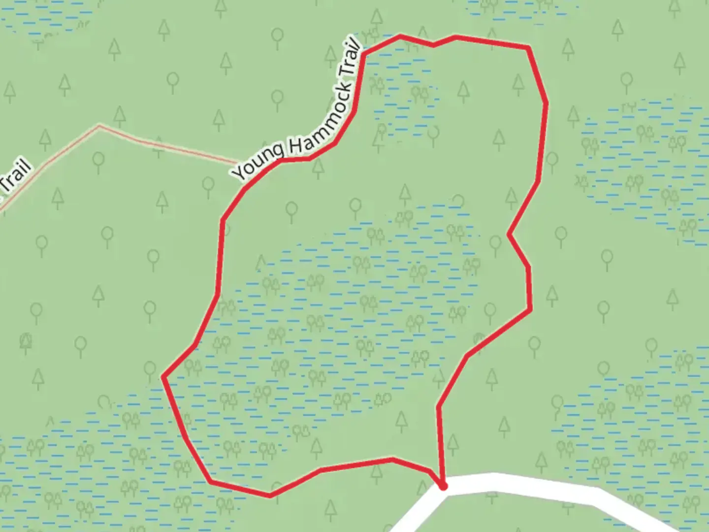 An image depicting the trail Young Hammock Loop Trail and its surrounding area.