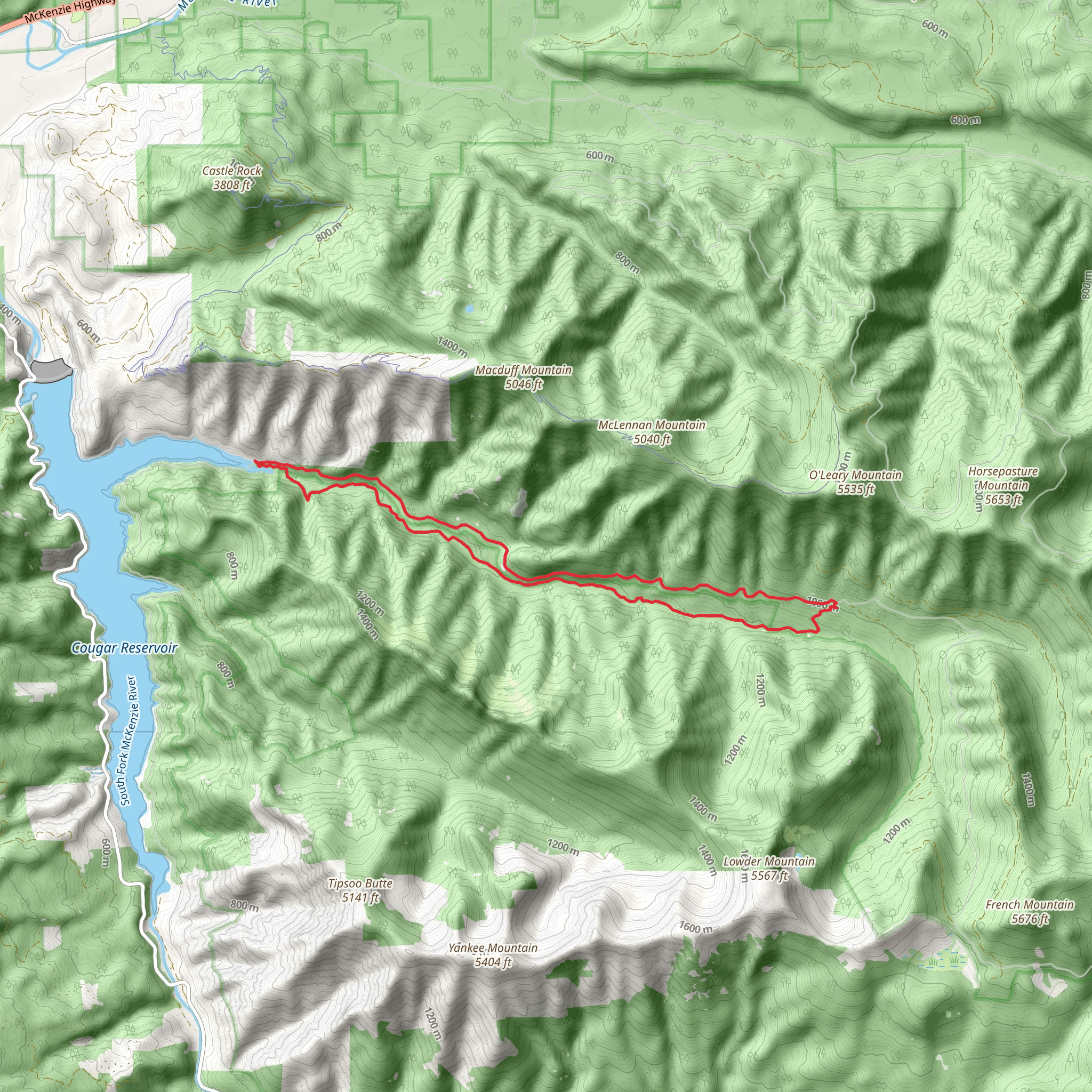 East Fork South Fork McKenzie River Loop mobile static map