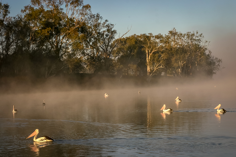 Waikerie Clifftop Walk