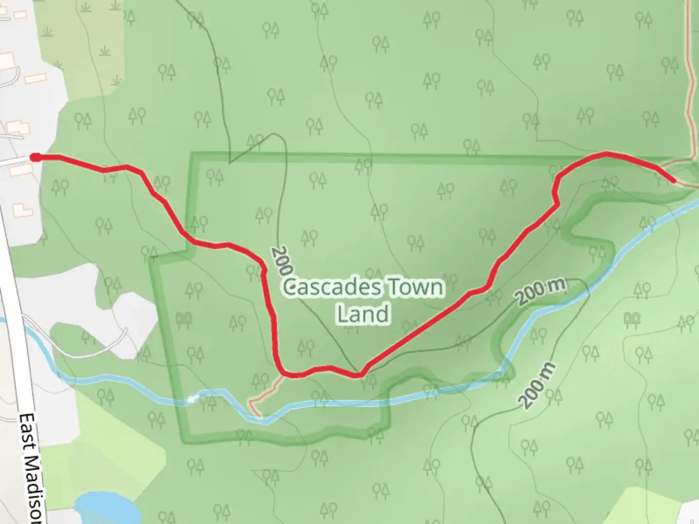 An image depicting the trail Forrest Brook - Madison Cascade Trail and its surrounding area.